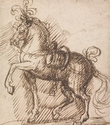 Um cavalo de sela emplumado